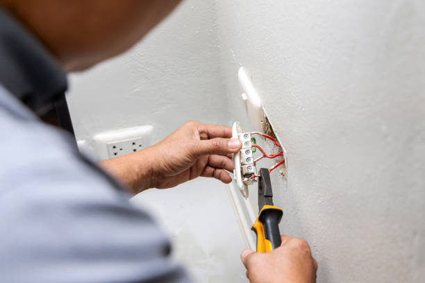 Best Electric Panel Repair  in Mathews, LA
